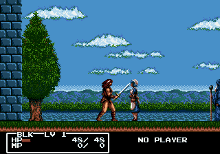 Cadash (Genesis Compatible) - Reproduction Video Game Cartridge with Case and Manual